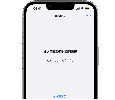 海棠湾镇iPhone屏幕维修分享iPhone屏幕使用时间密码忘记了怎么办 