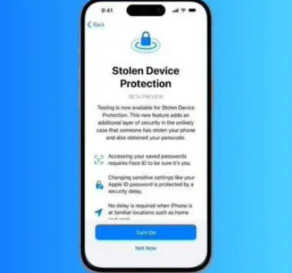 海棠湾镇苹果授权维修店分享被盗设备保护功能开启方法 