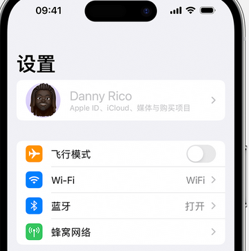 海棠湾镇appleID维修服务iPhone设置中Apple ID显示为灰色无法使用 