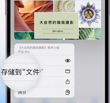 海棠湾镇apple维修中心分享iPhone文件应用中存储和找到下载文件