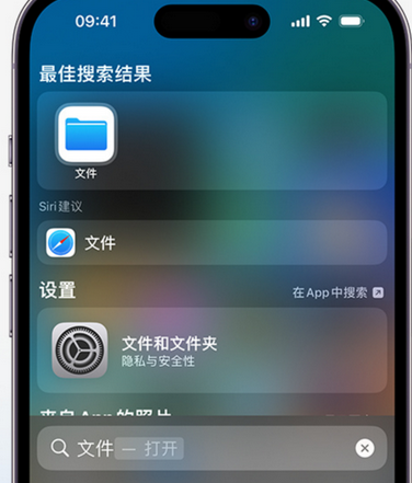 海棠湾镇apple维修中心分享iPhone文件应用中存储和找到下载文件 