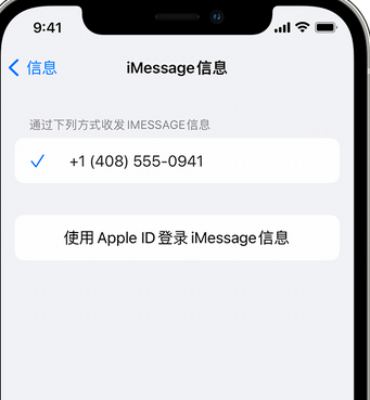 海棠湾镇apple维修iPhone上无法正常发送iMessage信息