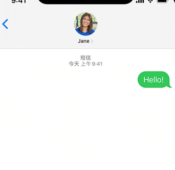 海棠湾镇apple维修iPhone上无法正常发送iMessage信息