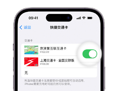 海棠湾镇apple维修点分享iPhone上更换Apple Pay快捷交通卡手绘卡面 