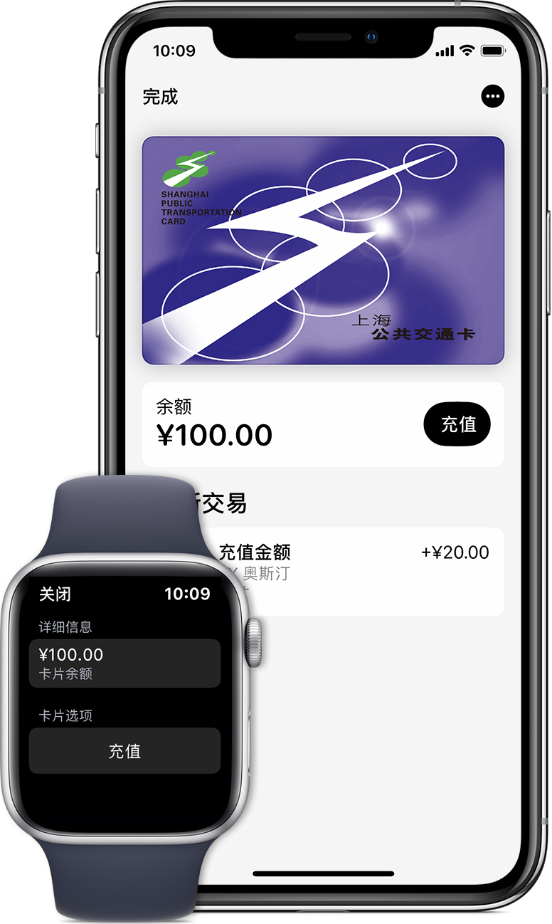 海棠湾镇苹果手机维修分享:用 Apple Pay 刷交通卡有哪些优势？如何设置和使用？ 