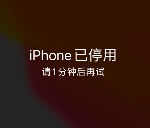 海棠湾镇苹果手机维修分享:iPhone 显示“不可用”或“已停用”怎么办？还能保留数据吗？ 