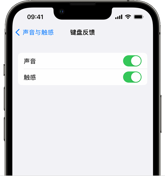 海棠湾镇苹果14维修店分享如何在 iPhone 14 机型中使用触感键盘 