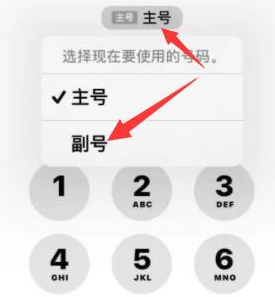 海棠湾镇苹果14维修店分享iPhone 14 Pro Max使用副卡打电话的方法 