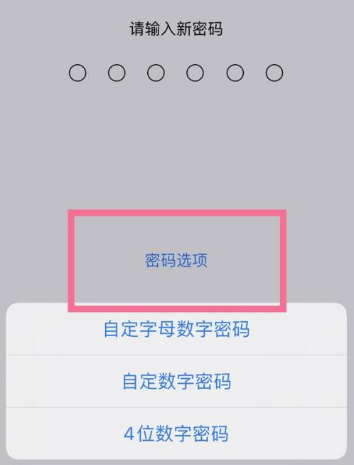 海棠湾镇苹果14维修分享iPhone 14plus设置密码的方法 