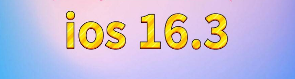 海棠湾镇苹果服务网点分享苹果iOS16.3升级反馈汇总 