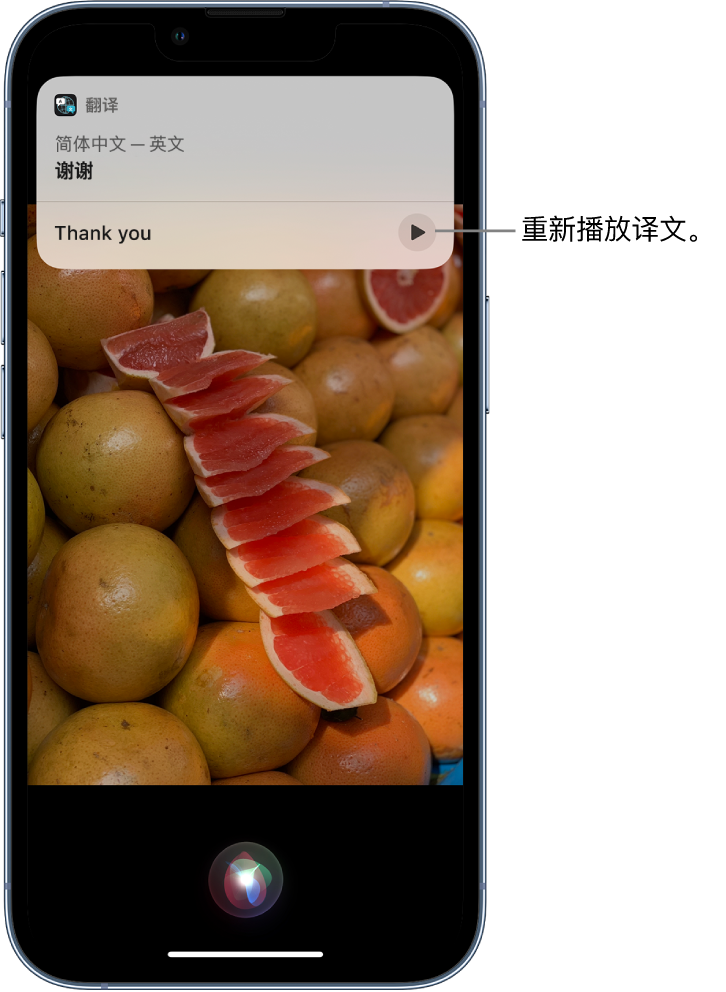 海棠湾镇苹果14维修分享 iPhone 14 机型中使用 Siri：了解 Siri 能帮你做什么 