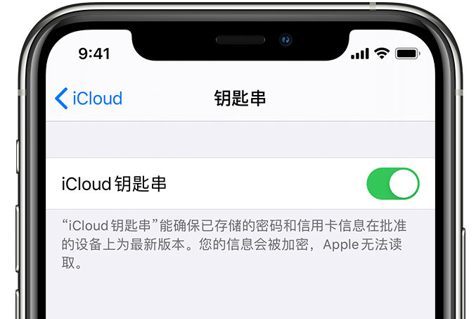 海棠湾镇苹果手机维修分享在 iPhone 上开启 iCloud 钥匙串之后会储存哪些信息 