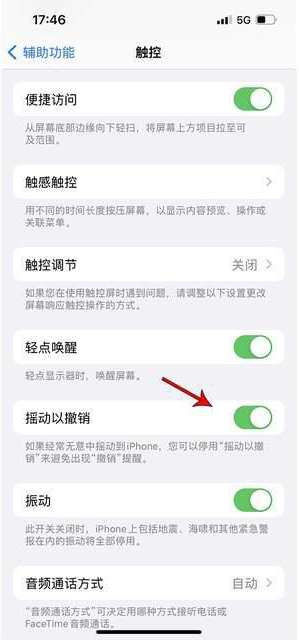 海棠湾镇苹果手机维修分享iPhone手机如何设置摇一摇删除文字 